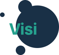 visi
